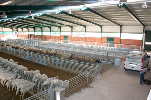 Ζητούν παράταση οι κτηνοτρόφοι 