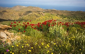 Μάιος 2025: Ο 5ος ψυχρότερος από το 2010 στη Θεσσαλία