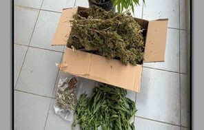 Σύλληψη Τρικαλινού με ένα κιλό χασίς και 9 δενδρύλλια 