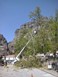 Κοπή επικίνδυνων δένδρων στην Καλαμπάκα