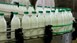 Ξεκινά τις διαδικασίες διάθεσης αιγοπρόβειου γάλακτος ο Αγροτικός Συνεταιρισμός Καλαμπάκας