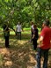 Συνάντηση στην Π.Ε. Τρικάλων για τις ζημιές σε δέντρα και αμπελώνες