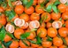 Νέα διανομή πορτοκαλιών και μανταρινιών