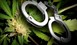 Tρικάλα: Συνελήφθη με μικροποσότητα κάνναβης 