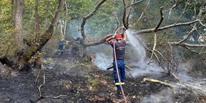 Ξέσπασε φωτιά στην Ασπροκκλησιά Καλαμπάκας από κεραυνό 