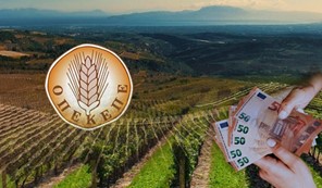 Στο "κάδρο" Τρικαλινός κτηνοτρόφος για επιδοτήσεις 770.000 ευρώ το 2024 - Tι απαντά 