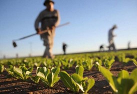 Αγρότες: Την επόμενη εβδομάδα η πλατφόρμα για έξτρα αρωγή έως 10.000 ευρώ