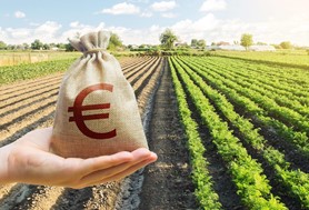 Ο ΕΛΓΑ διαψεύδει τα περί σκανδάλου στις αποζημιώσεις για την κακοκαιρία Daniel