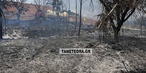 Μάχη με τις φλόγες εκατέρωθεν της Εθνικής οδού έξω από την Καλαμπάκα (φωτο)