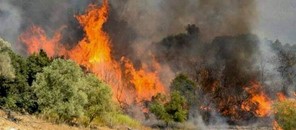 Oριοθετήθηκε η φωτιά στο Κακοπλεύρι 