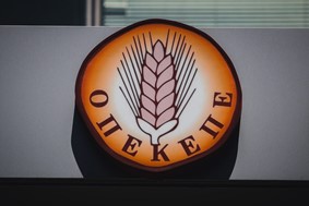 ΟΠΕΚΕΠΕ: Προκαταρκτική εξέταση για τη Σεμερτζίδου της ΝΔ και μέλη της οικογένειάς της