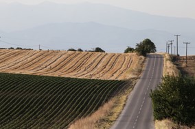 ΟΠΕΚΕΠΕ: Διαθέσιμη η προκαταβολή της βασικής ενίσχυσης