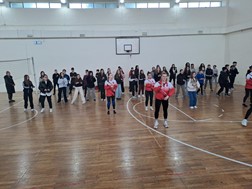 Ρυθμική γυμναστική και αεροβική στο 5ο Γυμνάσιο Τρικάλων