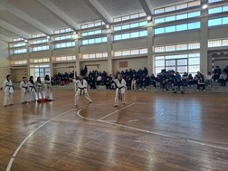 Παρουσίαση του Taekwondo στο 5ο Γυμνάσιο Τρικάλων