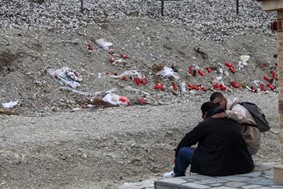 Τέμπη: Αίτημα άρσης ασυλίας πολιτικών από συγγενείς των θυμάτων