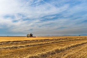 Δίμηνη παράταση στην υλοποίηση των σχεδίων βελτίωσης