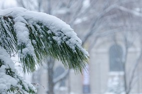 Έκτακτο δελτίο από την ΕΜΥ: Χιόνια και πτώση της θερμοκρασίας στη Θεσσαλία