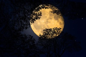 Πανσέληνος Μαρτίου 2024: Πότε έρχεται το «φεγγάρι του σκουληκιού»