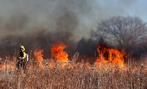 Τρίκαλα: 500€ σε ιδιώτη για φωτιά στο οικόπεδό του που έκαψε και δασική έκταση