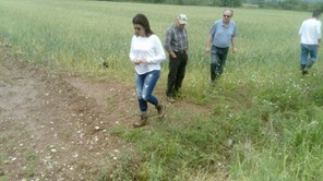 Επλήγησαν 14.700 στρέμματα καλλιεργειών στο Δήμο Πύλης 