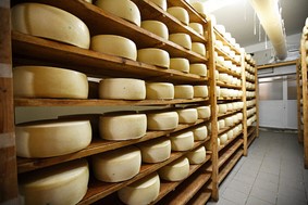 "Βροχή" τα φέσια τυροκόμων σε κτηνοτρόφους