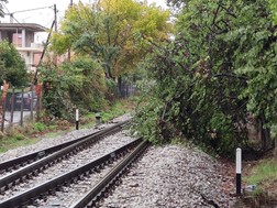 Τρίκαλα: Πτώση δένδρου στον σταθμό τρένων - Ακινητοποιήθηκε αμαξοστοιχία 