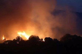 Τρίκαλα: Φωτιά στα Στουρναραίϊκα 