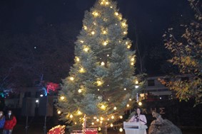 Πύλη: Ο Κ.Μαράβας άναψε το Χριστουγεννιάτικο δένδρο στην αυλή του Δημαρχείου 