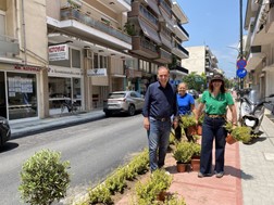 Τρίκαλα: Ελιές και καλλωπιστικά φυτά στην οδό Καποδιστρίου