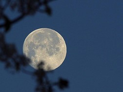 Πανσέληνος Οκτωβρίου 2022: Απόψε το βράδυ θα λάμψει στον ουρανό το «Φεγγάρι του Κυνηγού»