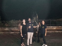 Πρωτιά για άλογο του "Βουκεφάλα" σε αγώνα επίδειξης ομορφιάς 