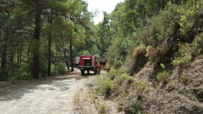 Αποκεντρωμένη Διοίκηση Θεσσαλίας: Έργα 18,5 εκ. ευρώ για την προστασία των δασών
