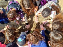 Τα παιδιά φύτεψαν δεκάδες δέντρα στη Σωτήρα 