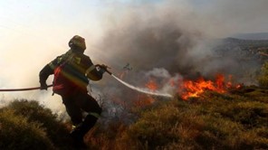 Πυρκαγιά έξω από τη Λυγαριά - Έγκαιρη η επέμβαση της Πυροσβεστικής