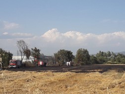 Φωτιά σε σιτοκαλλιέργειες στα Τρίκαλα - Τέθηκε γρήγορα υπό έλεγχο 