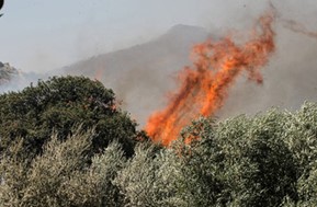 Yπό έλεγχο τέθηκε η φωτιά στα Ανταλλάξιμα - Κάηκαν 20 στρέμματα δασικής έκτασης
