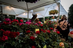 Επιστρέφουν από την Τετάρτη στις λαϊκές αγορές οι πωλητές λουλουδιών 