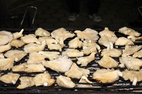 Καλαμπάκα: Χιλιάδες μερίδες φαγητού θα δοθούν δωρεάν στην πανελλήνια γιορτή τρούφας