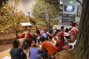 Συνεργασία του Μουσείου Φυσικής Ιστορίας Μετεώρων με την ΟΛΥΜΠΟΣ