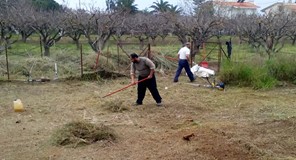 Τρίκαλα: Με μέριμνα των ιδιοκτητών ο καθαρισμός των ιδιωτικών οικοπέδων