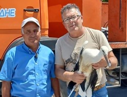 Μια "αυτοδιοικητική" διάσωση νεοσσού πελαργού στα Τρίκαλα