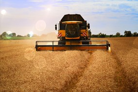 Επισιτιστική ασφάλεια: Προβληματισμός στην αγορά - Πλήρης επάρκεια σε σιτάρι