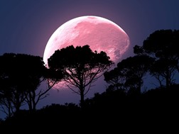 Πανσέληνος Απριλίου 2023: Πότε θα δούμε το «Ροζ Φεγγάρι»