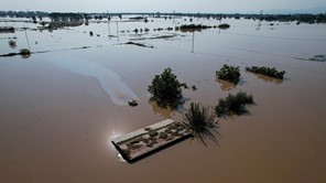 Οι ασφαλιστικές ενισχύουν με μισό εκατ. ευρώ τους πλημμυροπαθείς της Θεσσαλίας