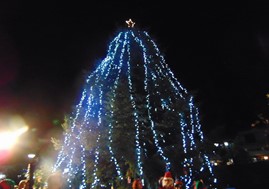 Φωταγωγήθηκε το Χριστουγεννιάτικο δέντρο στην Πύλη   