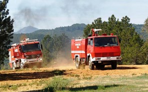 Εκατό στρέμματα δασικής έκτασης έκαψε η φωτιά στην Ανθούσα Καλαμπάκας 