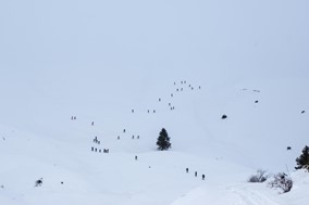 Mεγάλη συμμετοχή στον αγώνα ορειβατικού σκι στο Περτούλι 