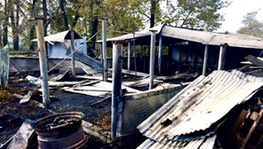 Κάηκαν 60 ζώα από φωτιά σε ποιμνιοστάσιο στο Μικρό Κεφαλόβρυσο