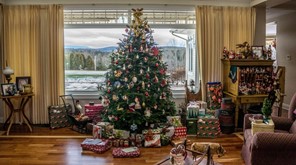 Φυσικό χριστουγεννιάτικο δέντρο: Πώς να το φροντίσετε σωστά κατά τη διάρκεια των γιορτών