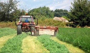 Aποζημιώσεις 173.500 ευρώ από τον ΕΛΓΑ σε Τρικαλινούς αγρότες